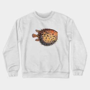 Blowfish drawing Crewneck Sweatshirt